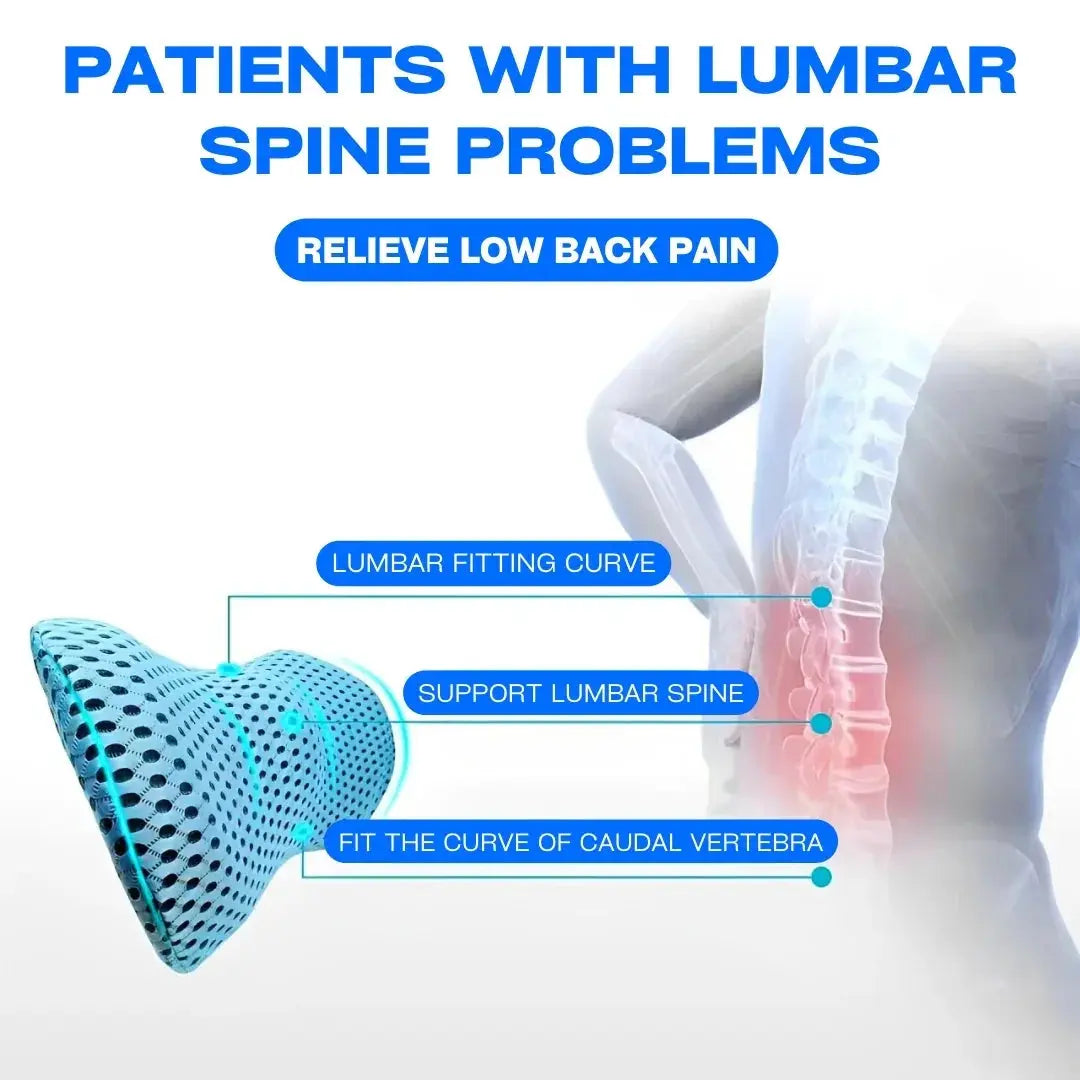 Lumbar Support Pillow